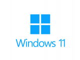 Orijinal Windows 11 Pro Lisans