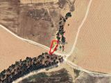 magosa köprülü de 950 m2 arsa nitelikli tarla yolu var anayola çok yakın sadece 40000 stg