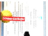 İNGİLİZCE ENGLISH, RUSÇA По РУССКИЙ, TÜRKÇE 