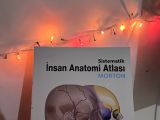 Resimli insan anatomisi