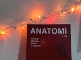 Anatomi 