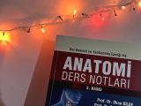Anatomi ders notları 