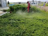 Bahçe temizliği yapılır 0533 867 21 64