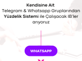 Yüzdelik Sistemli IB