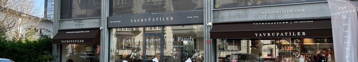 Yavru Patiler